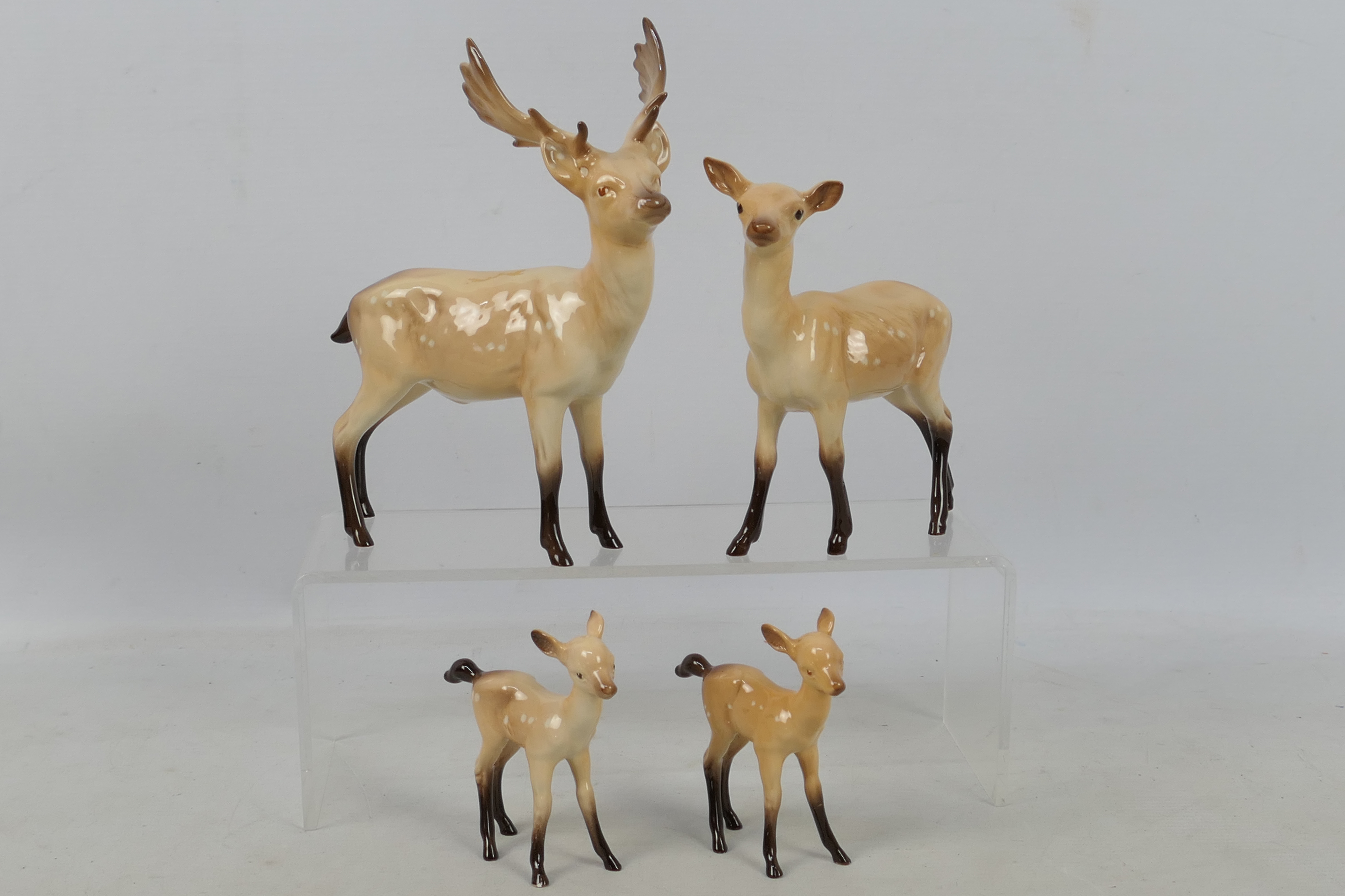 Beswick - A four piece Fallow Deer family comprising stag, doe and two fauns,