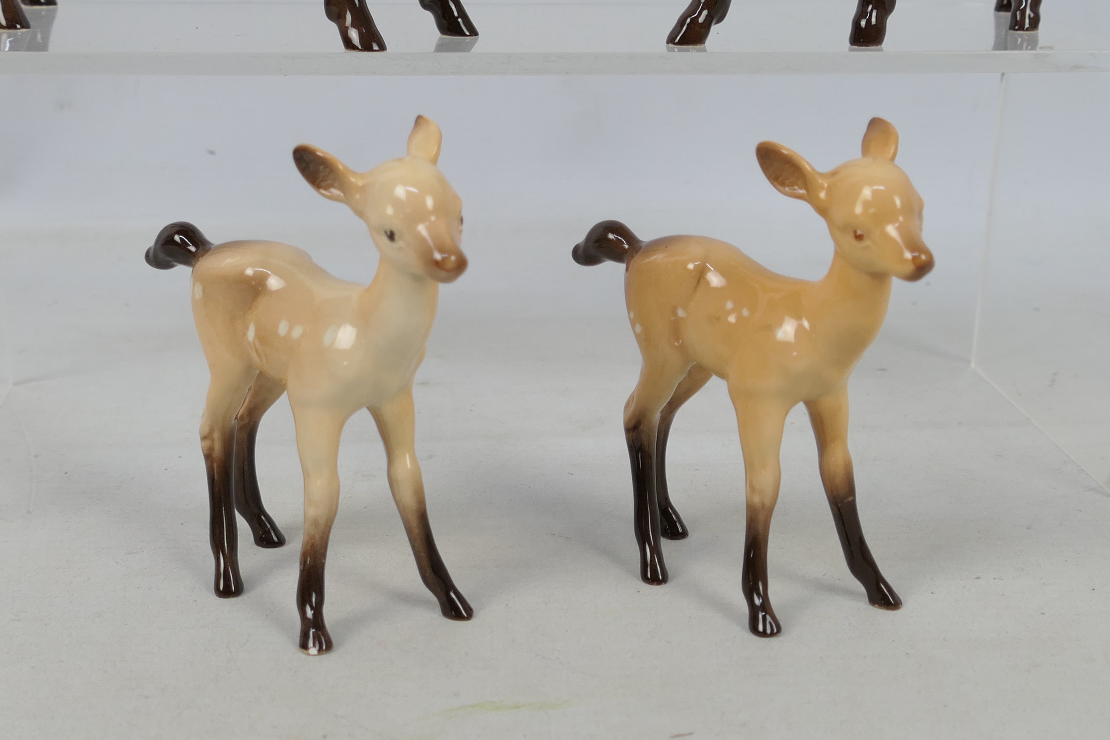 Beswick - A four piece Fallow Deer family comprising stag, doe and two fauns, - Image 3 of 4