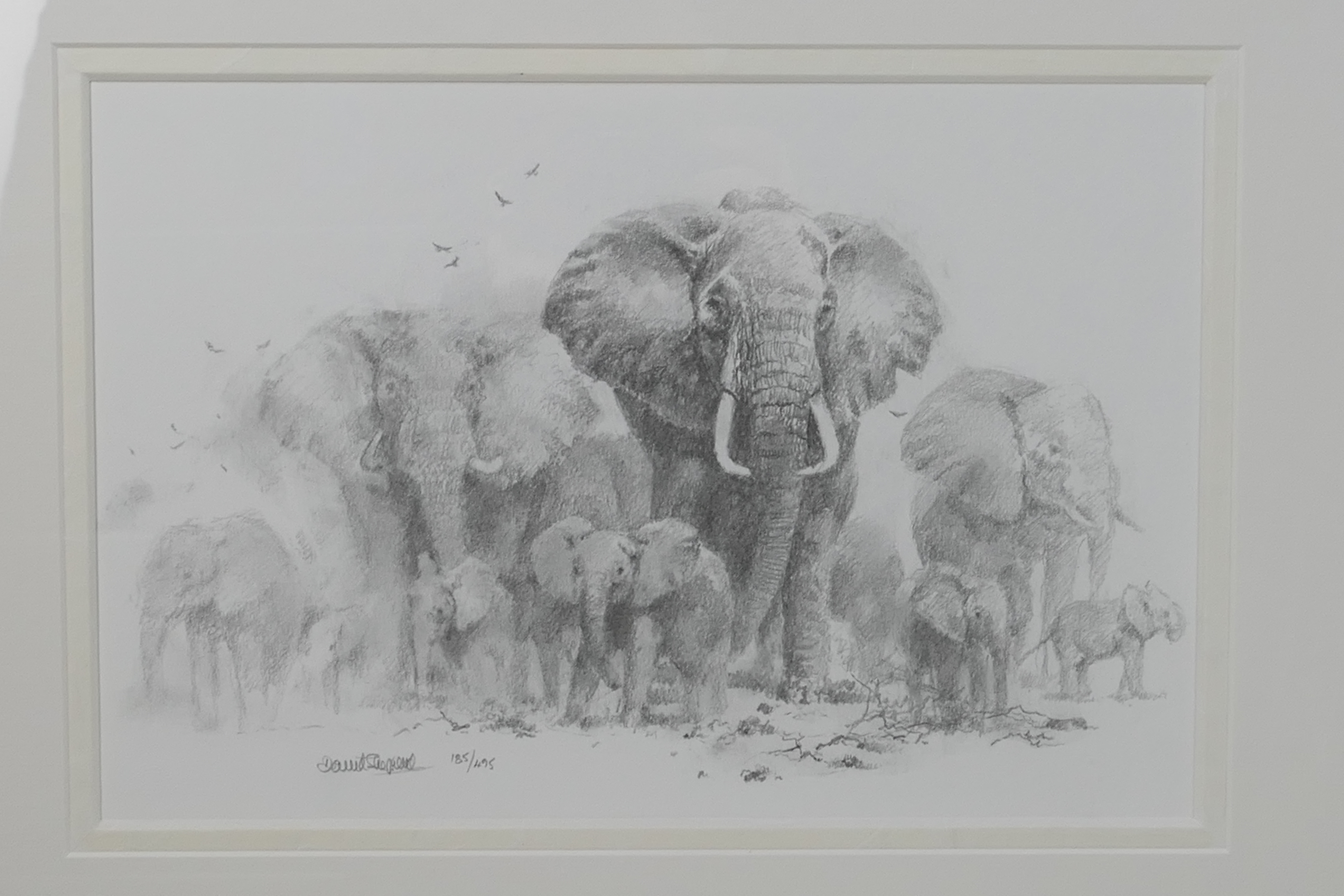 David Shepherd - A Soloman & Whitehead portfolio of four limited edition prints of pencil drawings, - Image 2 of 11