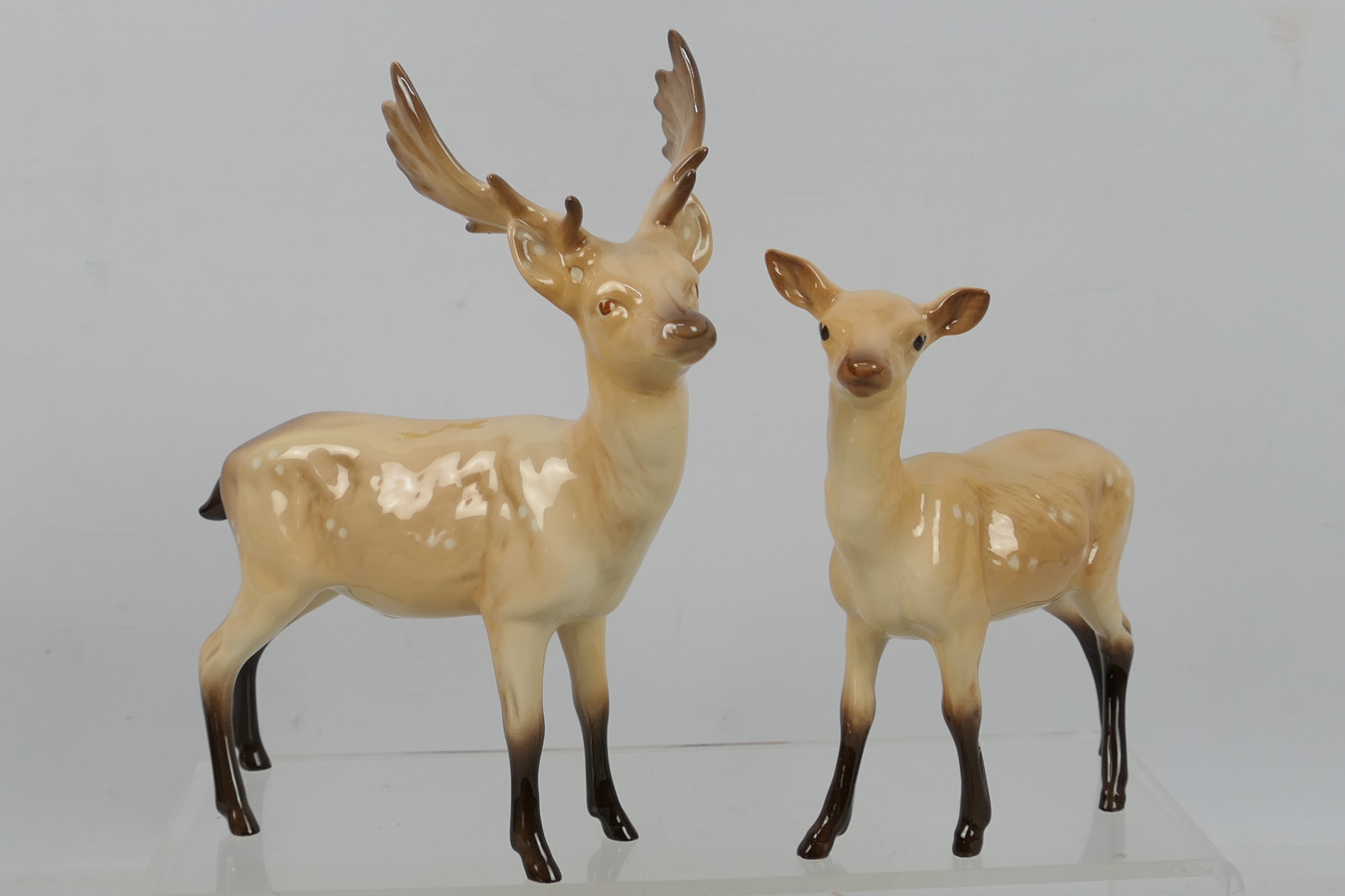 Beswick - A four piece Fallow Deer family comprising stag, doe and two fauns, - Image 2 of 4