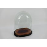 A vintage glass dome on fitted wooden base,