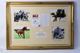 Horse Racing Interest - A tribute montage to Red Rum with various image,