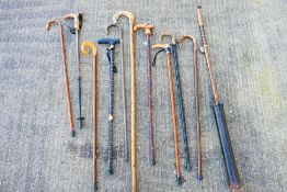 A collection of walking sticks and simil