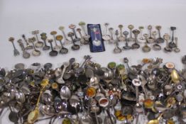 A large quantity of collector spoons.