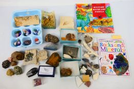 Lot comprising fossils, mineral samples, semi-precious gemstones and other.