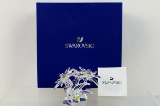 Swarovski - A boxed Swarovski Crystal Society model depicting an Edelweiss plant, approximately 6.