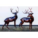 A large pair of bronzed metal stags, approximately 82.5 cm (h). [2].