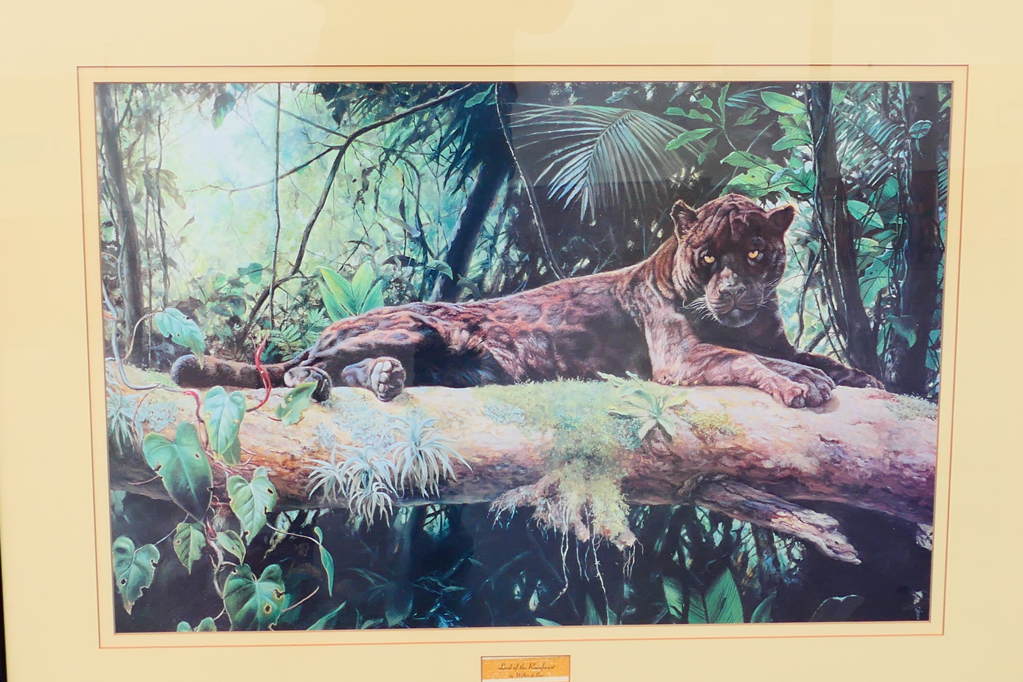 A framed print after Willem de Beer entitled Lord Of The Rainforest, - Image 3 of 5