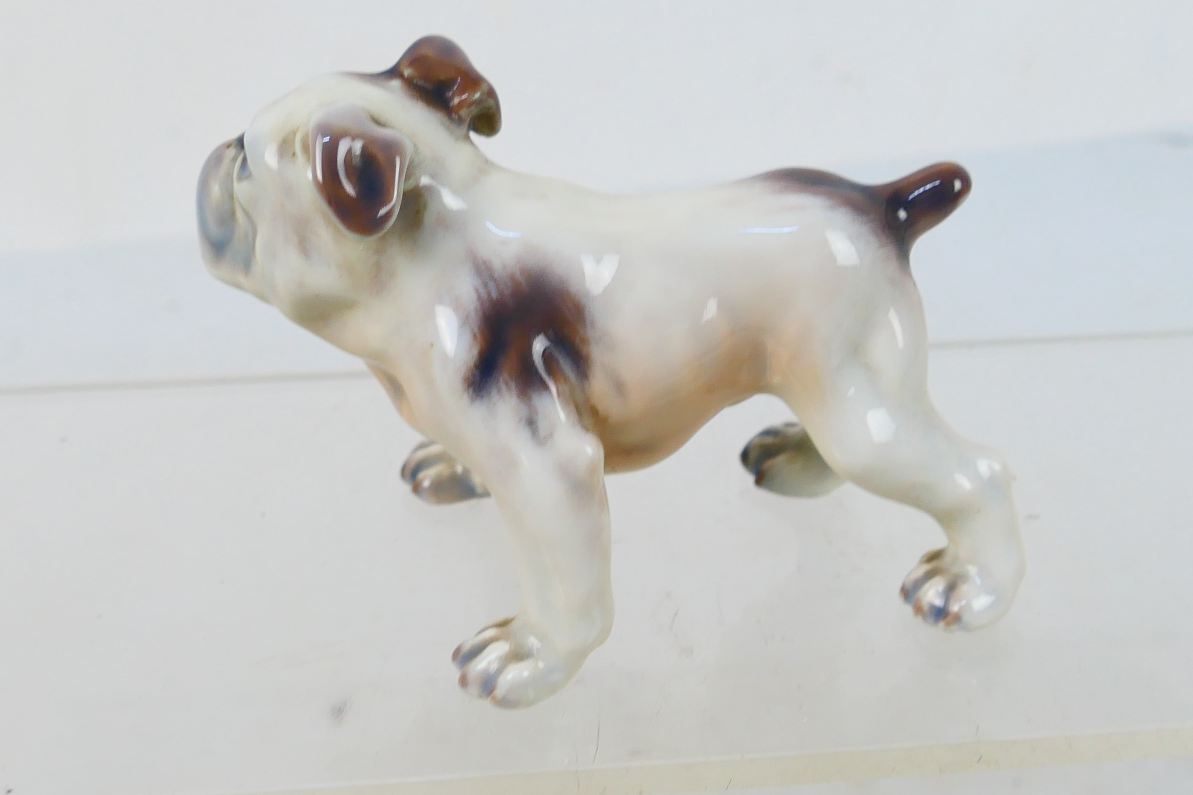 A Dahl Jensen Copenhagen porcelain study of an English Bulldog, # 1135, 11 cm (l). - Image 2 of 3