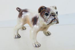 A Dahl Jensen Copenhagen porcelain study of an English Bulldog, # 1135, 11 cm (l).
