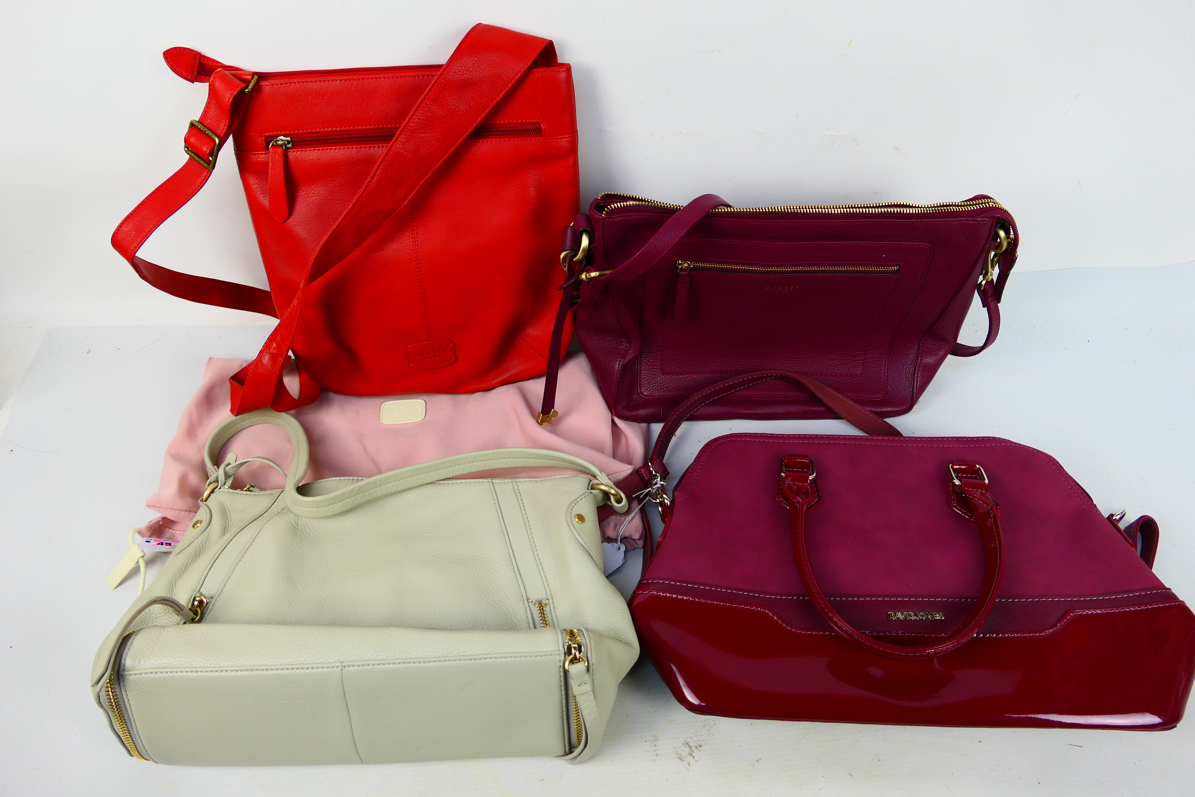 Handbags to include Radley, David Jones and other.