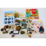 Lot comprising fossils, mineral samples,