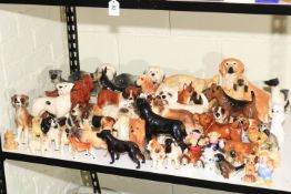 Collection of predominantly dog figurines including Royal Doulton, Beswick, etc.