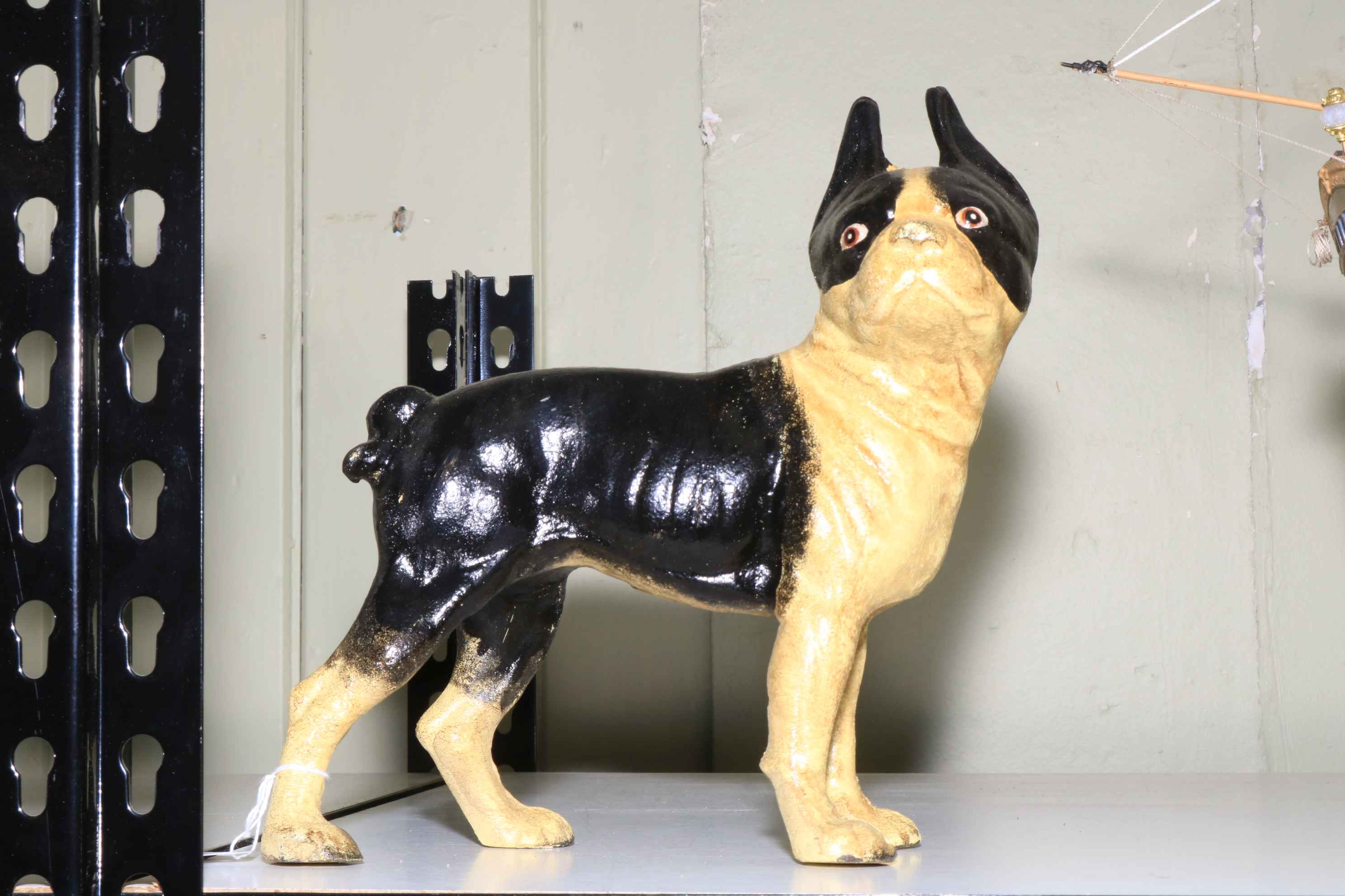 Cast iron Boston Terrier, 25cm.