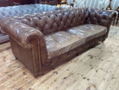 Halo brown deep buttoned and studded leather three seater Chesterfield settee, 242cm in length.