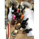 Sixteen bottles of spirits, wine and champagne including Bacardi 100cl, Martini 100cl,