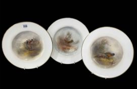 Set of three Royal Worcester hand painted bird plates 'Snipe',