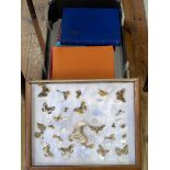Collection of stamp albums and framed lepidoptera.
