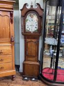 Antique mahogany and oak eight day longcase clock having painted arched moon phase dial,