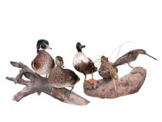 Taxidermy birds on branch, ducks and wading bird x 2.