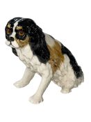 Winstanley King Charles Spaniel, size 9.