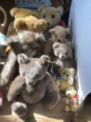 Nine Steiff teddy bears.