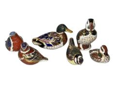 Six Royal Crown Derby bird paperweights.