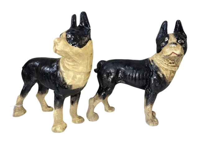 Pair of cast iron Boston Terrier dogs, 21cm high.