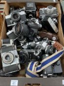 Box of cameras including Exakta RTL 1000, Edixa Standard, Paxina, Yashica M-11, Ikoflex Zeiss Ikon,