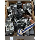 Box of cameras including Exakta RTL 1000, Edixa Standard, Paxina, Yashica M-11, Ikoflex Zeiss Ikon,
