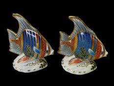 Two Royal Crown Derby paperweights, Pacific Angel Fish, 11.