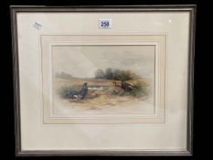 Christopher Hughes, Game Birds, watercolour, signed lower right, 17.5cm by 26cm, in glazed frame.