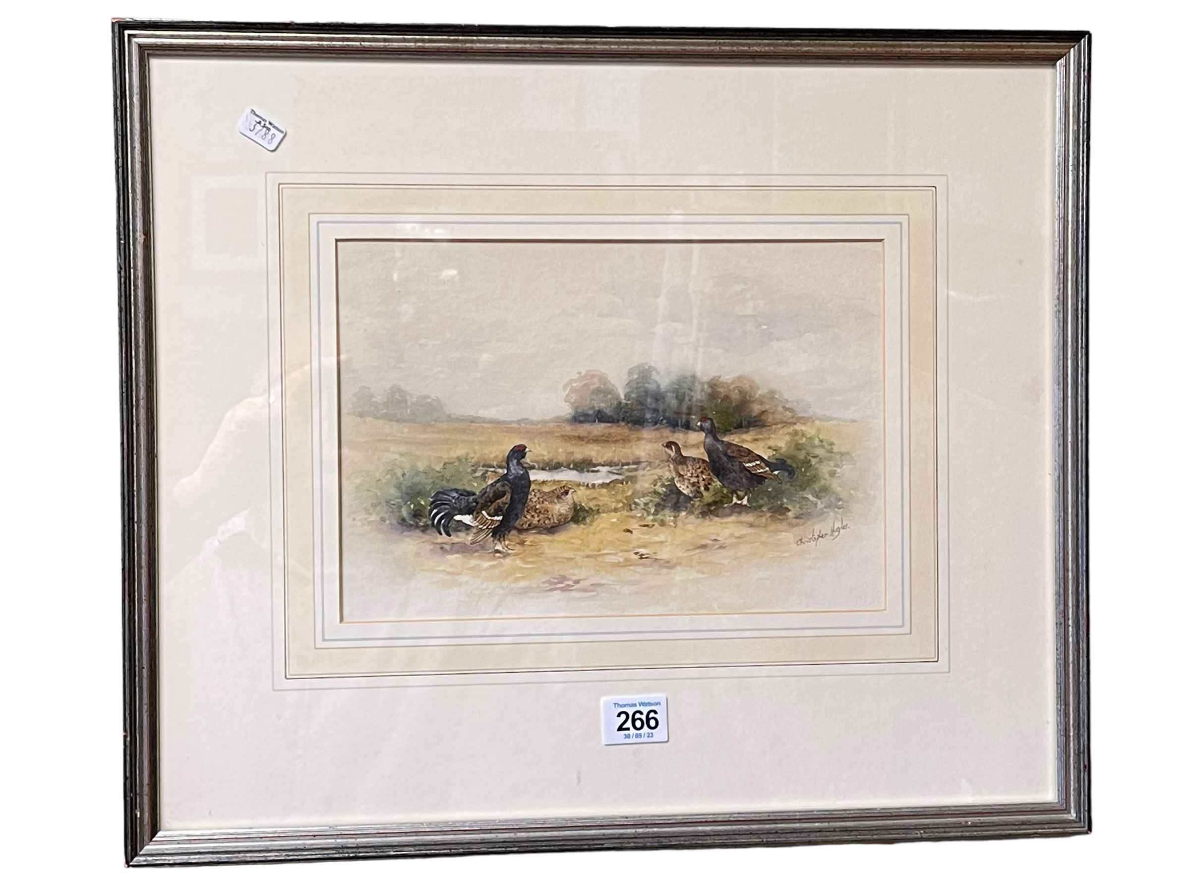 Christopher Hughes, Game Birds, watercolour, signed lower right, 17.5cm by 26cm, in glazed frame.