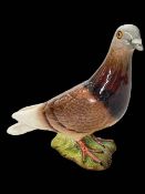 Beswick Pigeon.