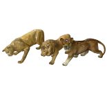 Two Coalport and one West German china models of lion and lionesses, largest 24cm long (3).