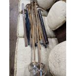 Collection of walking canes, umbrella, rulers, etc.