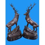Pair of impressive bronze models of stags on rocky outcrops on marble bases, 74cm high.