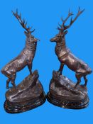 Pair of impressive bronze models of stags on rocky outcrops on marble bases, 74cm high.
