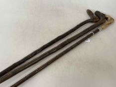 London 1917 silver mounted deers foot handled walking stick and two rustic walking sticks,