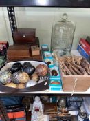 Collection of deer antlers, carpet bowl, two glass domes, wooden boxes and egg, etc.