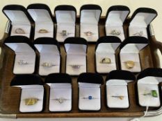 Collection of sixteen rings including silver.