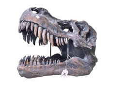 Composite dinosaur skull head, 38cm high.