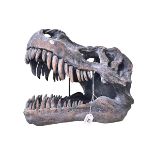 Composite dinosaur skull head, 38cm high.