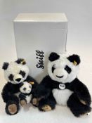 Two Steiff Panda Bear Teddies, one with box.