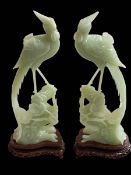 Pair of Chinese jade exotic birds on carved wood plinths, 30cm.