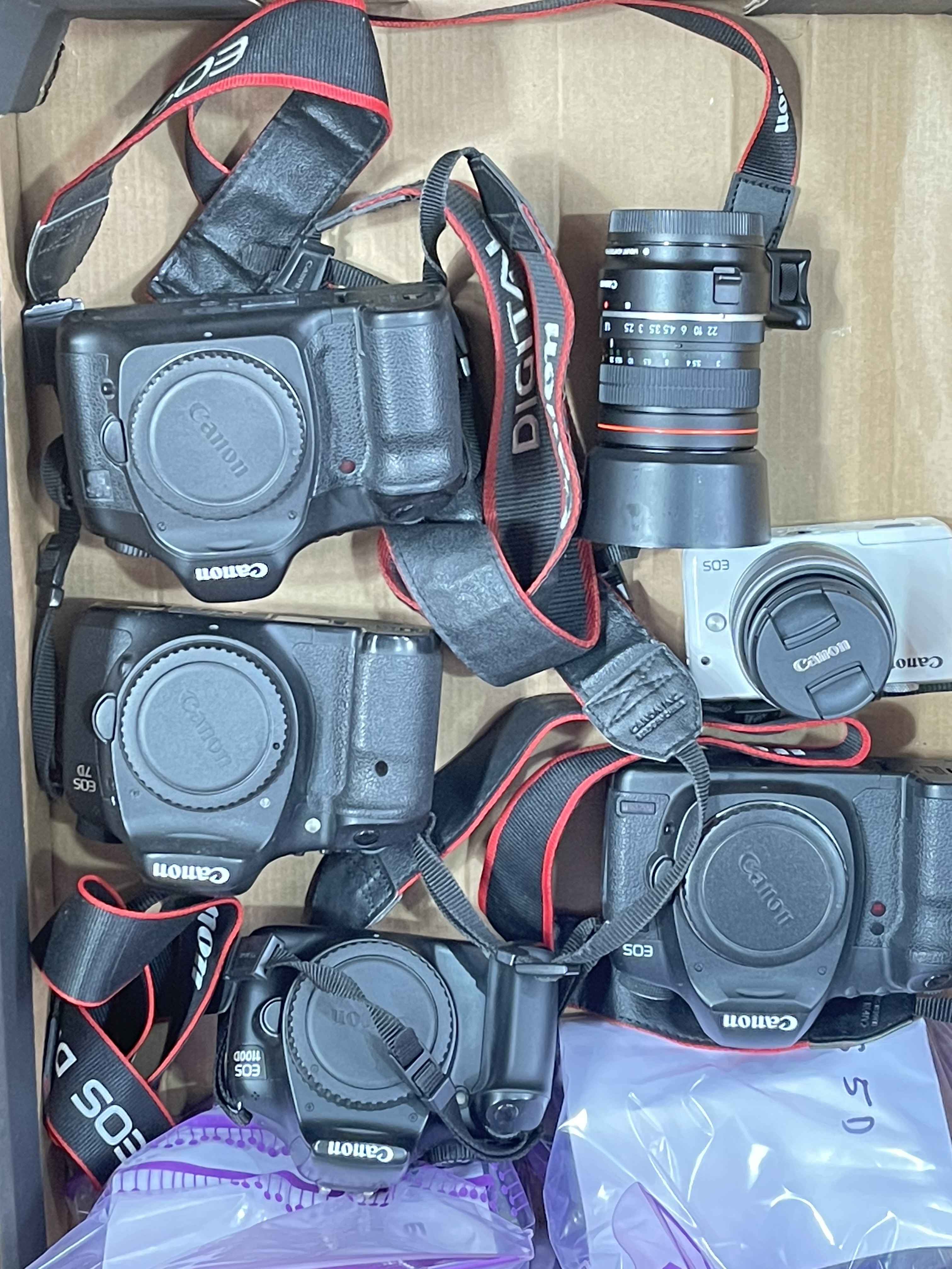 Collection of Canon cameras including EOS 5Dx2 EOS TD EOS 1100D.