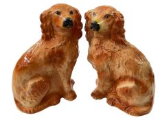 Pair Staffordshire Spaniels.