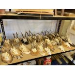 Approximately twenty five Muntjac antlers, majority mounted.