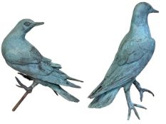 Two bronze sculptures of gulls by Lorne McKean, English Sculptor,