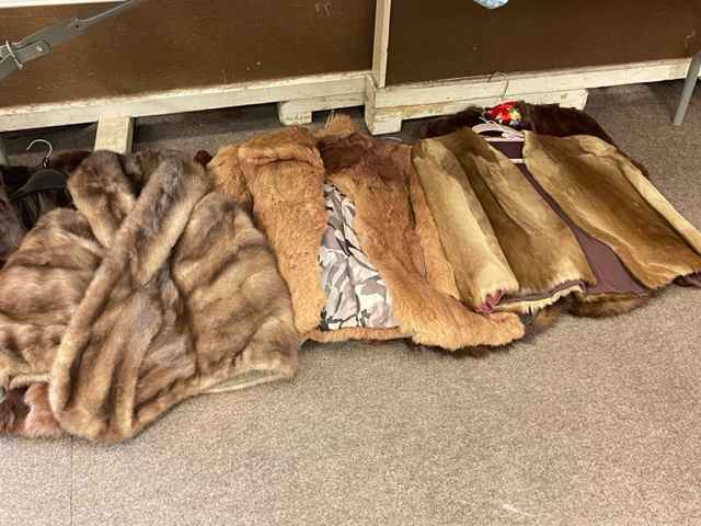 Collection of vintage fur coats.